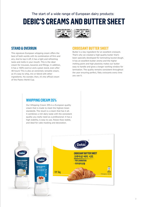 Debic to Asia Made for Professional Hands Brochure FINAL - Page 1